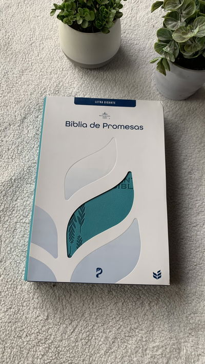 Biblia Reina Valera 1960 de Promesas · Letra gigante · Imitación piel turquesa