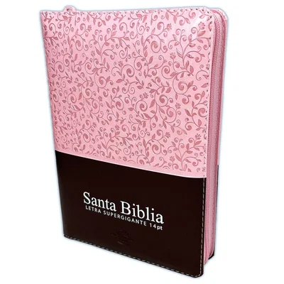 Biblia Reina Valera 1960 Letra Gigante14 puntos Concordancia Cierre Indice