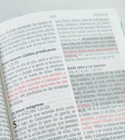 Biblia Reina Valera 1960 de Promesas · Letra gigante · Imitación piel turquesa