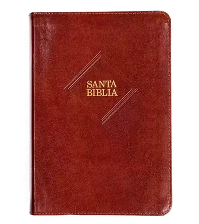 Biblia Holman Reina Valera 1960 Letra Gigante 14P, Marrón