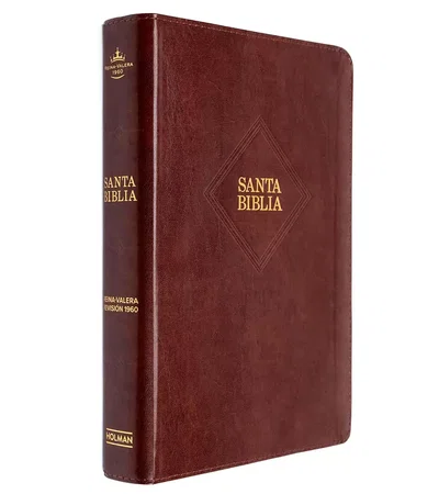 Biblia Holman Reina Valera 1960 Letra Gigante 14P, Marrón