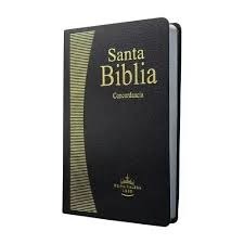 Biblia economica manual