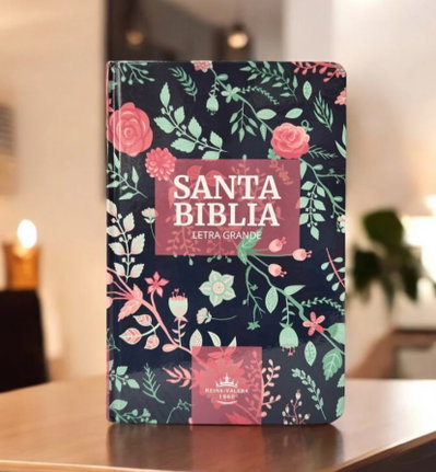 Biblia económica