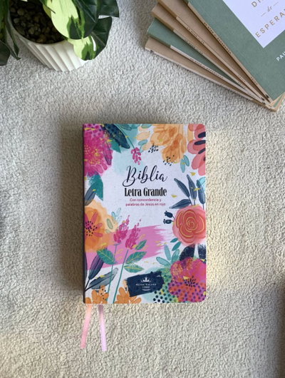 Biblias Reina Valera Económicas