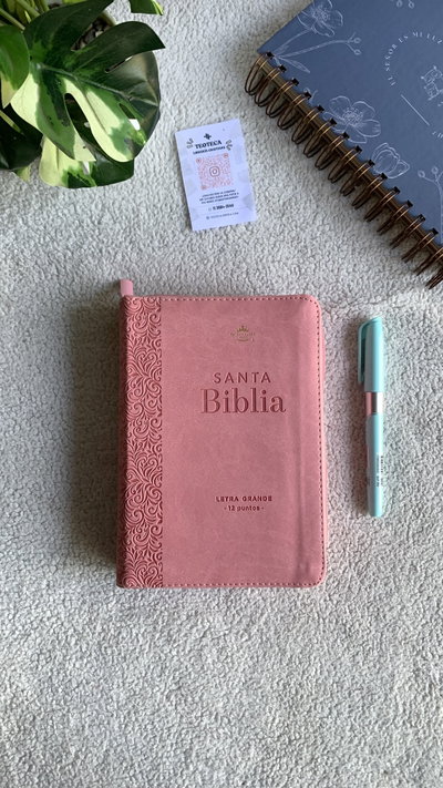 Biblia reina valera rosada con cierre 12 puntos