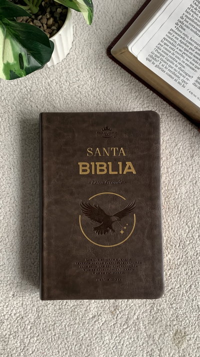 Biblia Reina Valera 1960 Concordancia Aguila