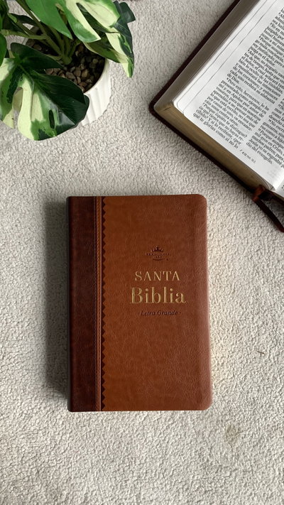 Biblia Reina Valera 1960 Concordancia Duo
