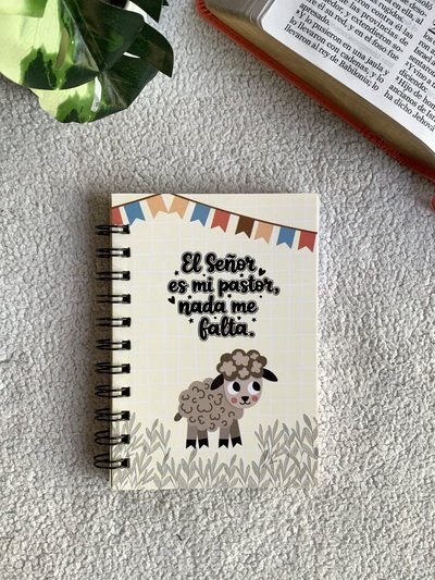 Anotador chico