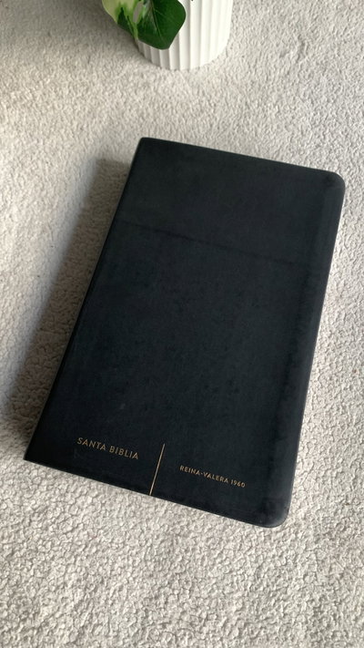 Biblia negra lisa letra grande