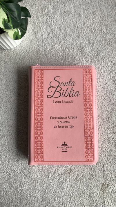Biblia rosa cierre letra grande 12 pt índice