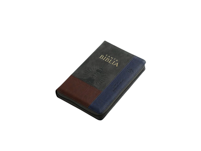 Biblia RVR 1960 Inspiración Marrón/Gris/Azul