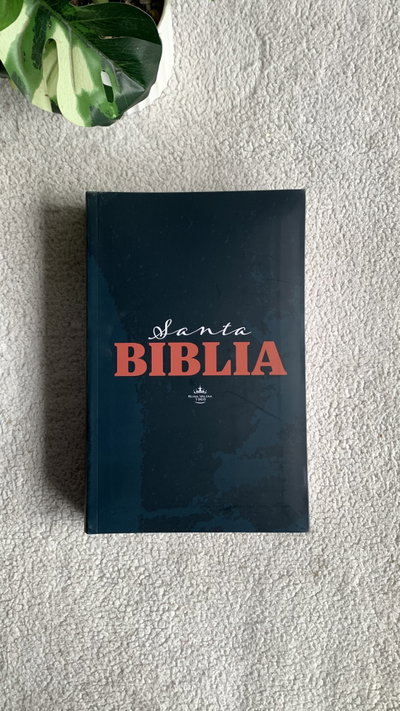 Biblia letra gigante economica