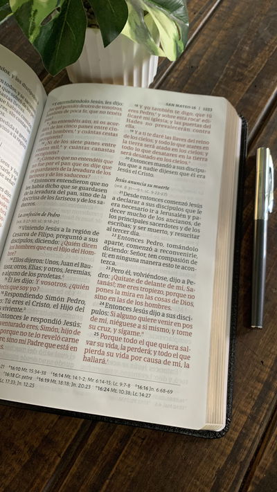 Biblia Holman Reina Valera 1960 Letra Gigante 14P, Negro