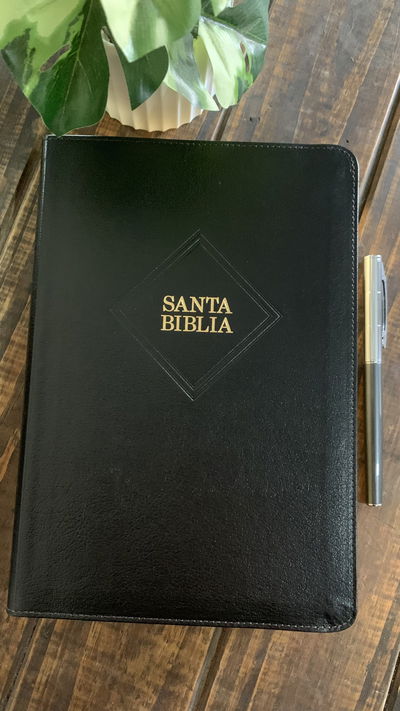 Biblia Holman Reina Valera 1960 Letra Gigante 14P, Negro