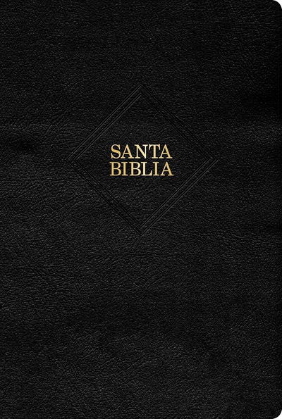 Biblia Rvr 60 Letra 14P, Negro