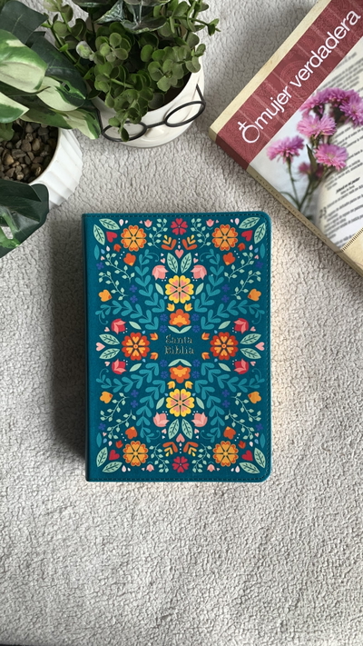 Biblia Holman RVR 1960 Edición especial 12 pt