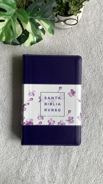 Biblia Rreina Valera 1969 12 pt, Purpura