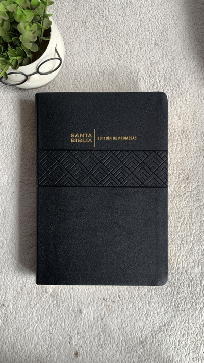 Biblia RVR 1960 letra gigante 13 puntos Palabra de Jesús en Rojo