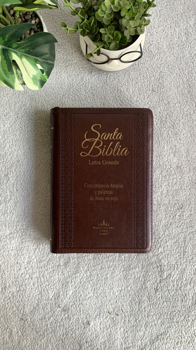 Biblia marrón cierre letra grande 12 pt índice