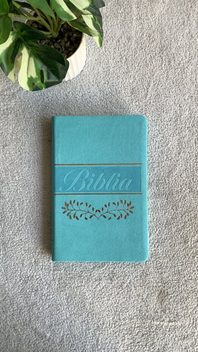 Biblia economica Turquesa con plateado