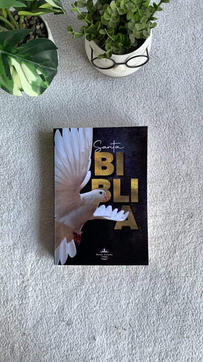 Biblias misioneras 9 pt rústica