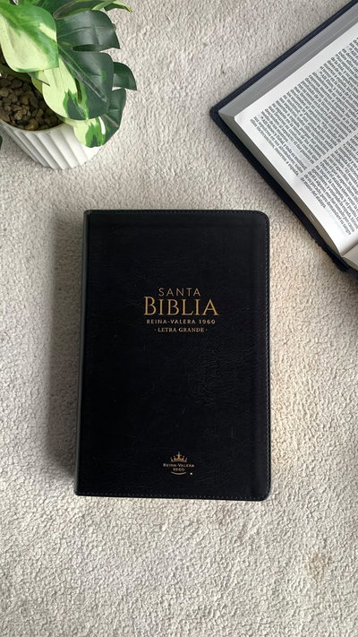 Biblia Reina Valera 1960 Con Concordancia  Letra 12 pts