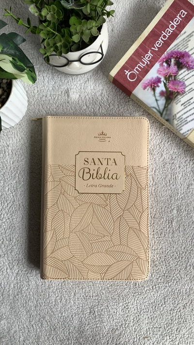 Biblia Reina Valera 1960 Concordancia beige 11 puntos