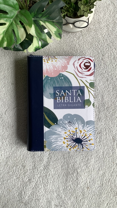 Biblia RVR 1960 cierre, indice 14 pt gigante