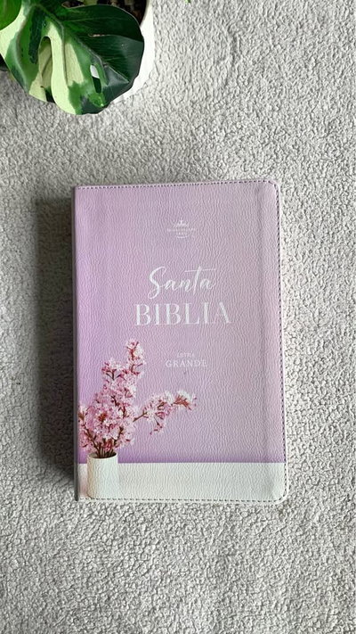 Biblia Reina Valera 1960 Letra grande 12 pt Indice 