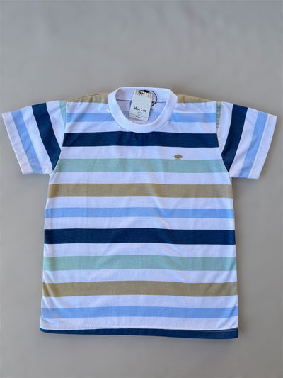 Remera Rayada Azul 