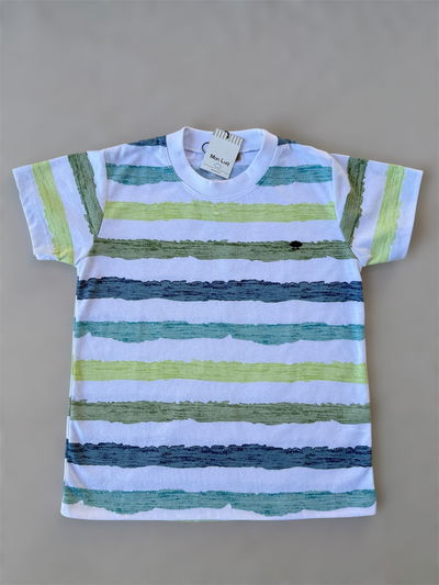 Remera Rayada Lima