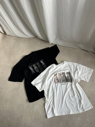 REMERON KITTEN
