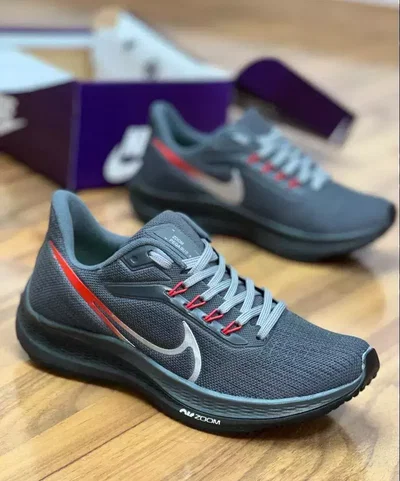 ZOOM PEGASUS
