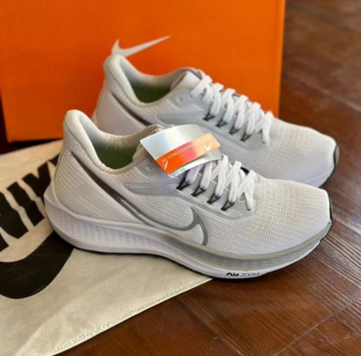 ZOOM PEGASUS