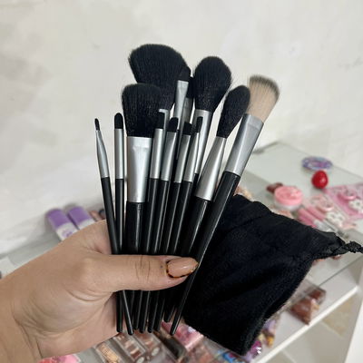 Set brochas y pinceles x13