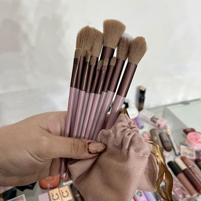 Set brochas y pinceles x11