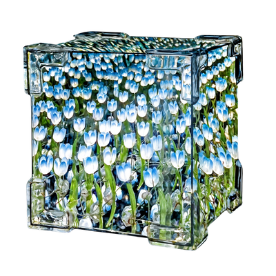 Tulipanes infinito celeste ARMADO 