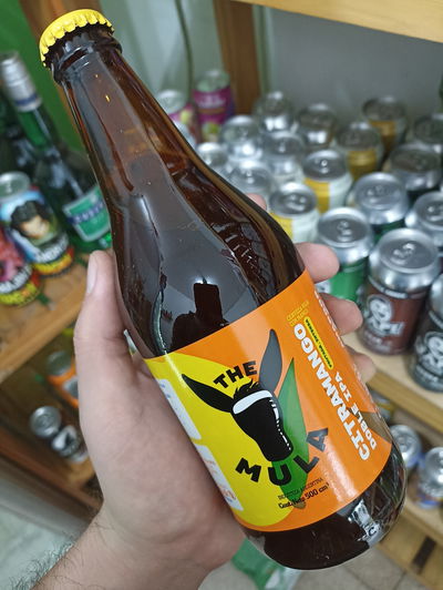 Cerveza The Mula porrón 500ml. A elección 