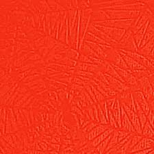 Araña rojo 