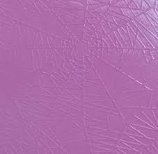 Araña morado 