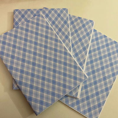 Cuaderno A5 Araña celeste 15 hojas lisas