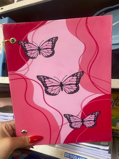 Carpeta N3 Mariposas