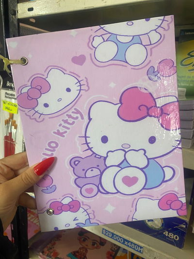 Carpeta N3 Hello Kitty