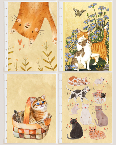 Pack x4 Separadores/Carátulas - Gatitos beige