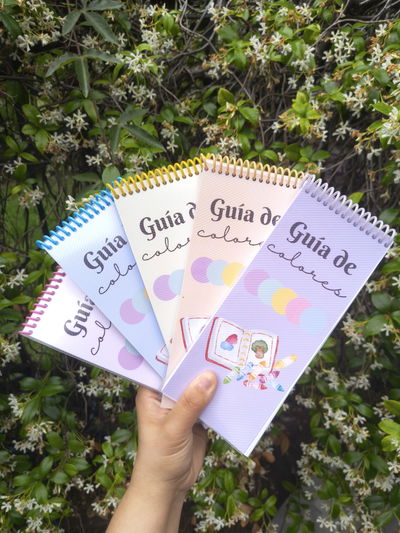 Guía de colores - Swatches