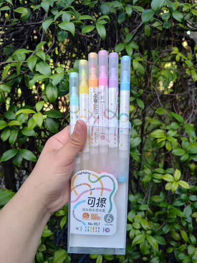 Resaltadores x6 borrables