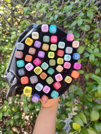 Marcadores alcohol x48