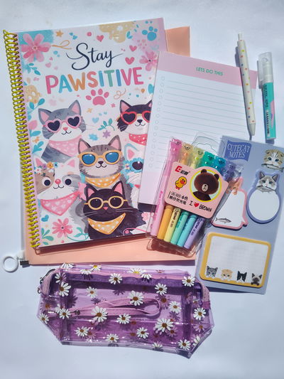 Combo estudiantil - Gatitos