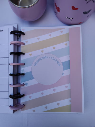 Repuesto Calificador docente con separadores x1