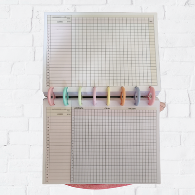 Repuesto Calificador docente